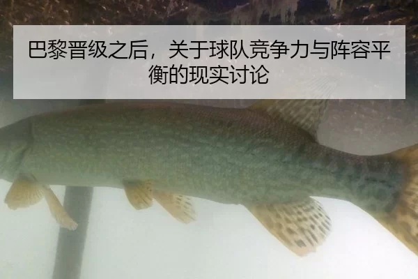 巴黎晋级之后，关于球队竞争力与阵容平衡的现实讨论